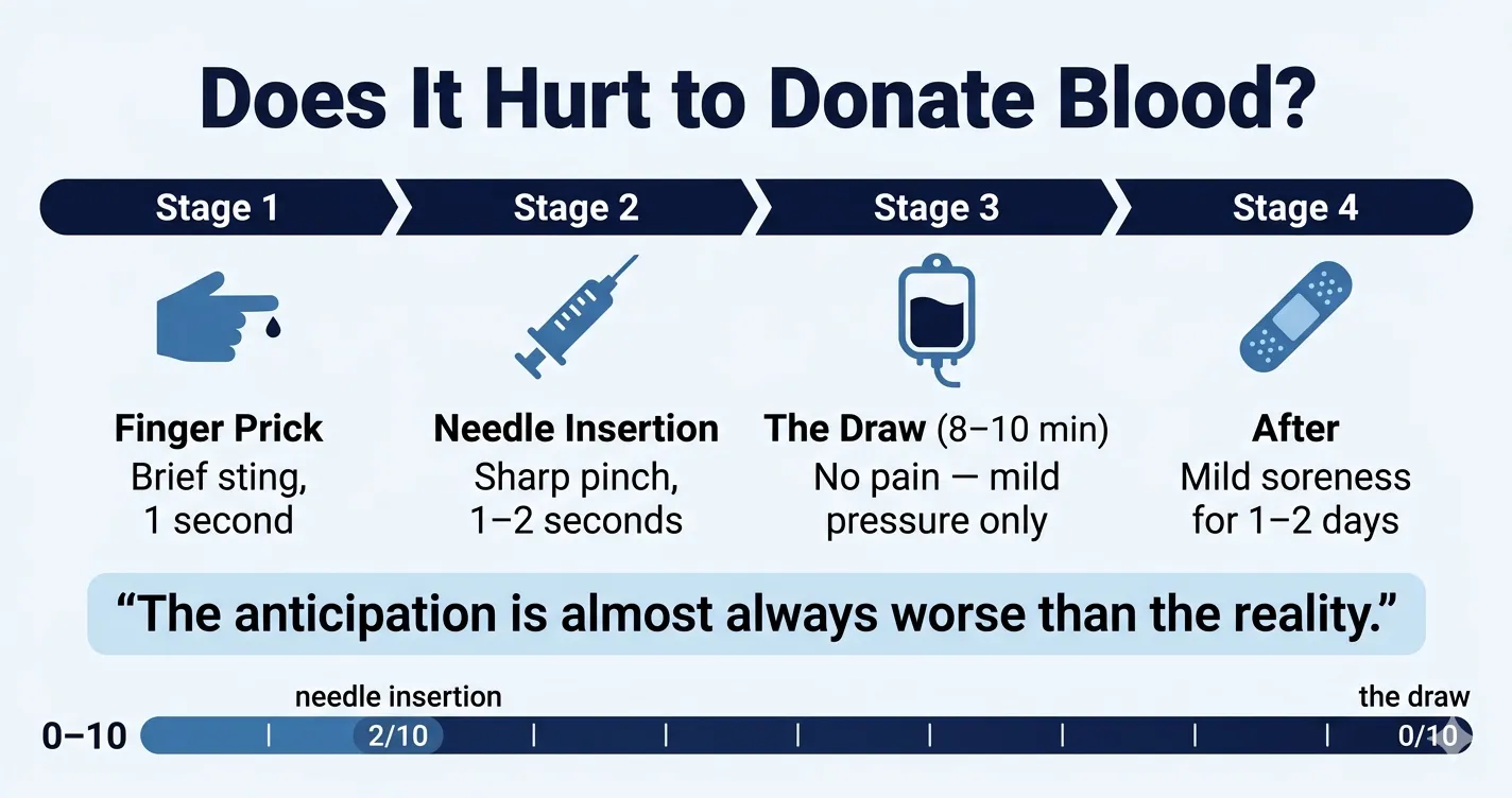 Does it hurt to donate blood — 4 stages with pain scale showing needle insertion at 2/10