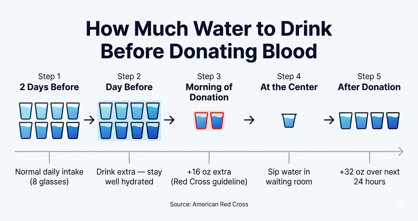 How much water to drink before donating blood — 5-step timeline from 2 days before to after donation