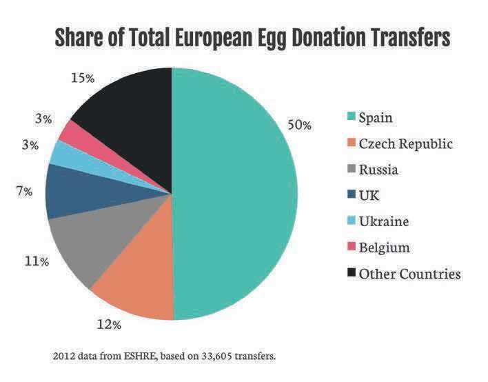 Egg Donation Age Limit