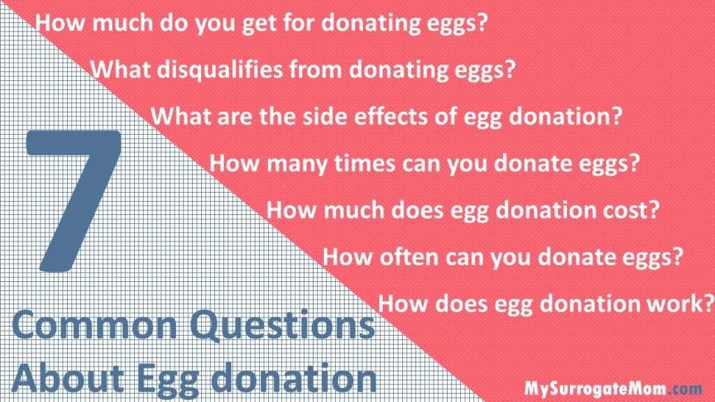 Pros And Cons Of Donating Eggs